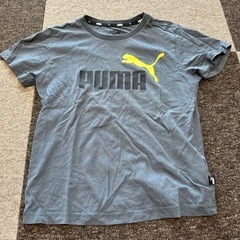 PUMA 半袖③