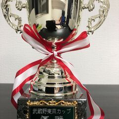 ★★★【10/31まで】東京都 日曜リーグ★★★武蔵野東京リーグ...