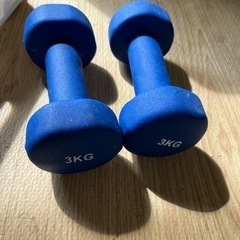 ダンベル3kg 2つ
