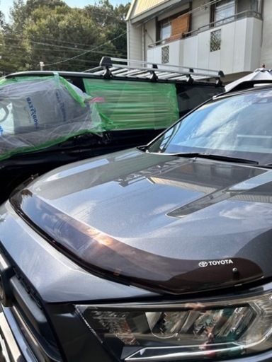 RAV4 トヨタ純正　バグガード