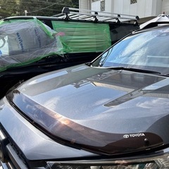 RAV4 トヨタ純正　バグガード　