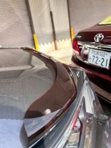 RAV4 トヨタ純正　バグガード　