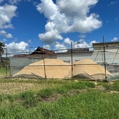 籾殻　貰ってください！