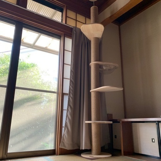 キャットタワー(決まりました)