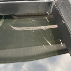 メダカ　黒流星