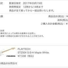 PLAYTECH ST250Ⅱ SSH  美品の画像