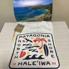 【新品未使用】パタゴニアTシャツメンズS