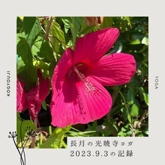 秘密の光暁寺ヨガ⭐︎2023.10月〜12月の画像