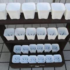 多肉植物　棚　プランター　２個セット　フラワースタンド　トレー　ラック　観葉植物　ハンドメイドの画像