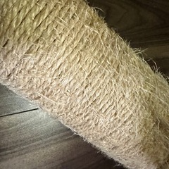 猫の爪とぎポールの画像