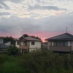 言語交換をしましょう！