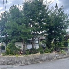 伐採・草刈りなど