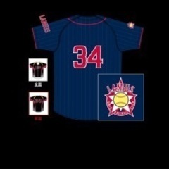 【立ち上げメンバー募集】ソフトボール(革ボール)