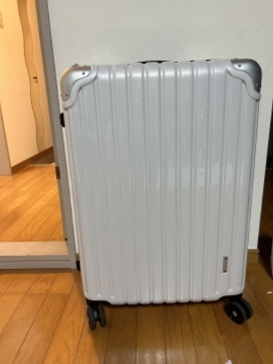 キャリーバッグ