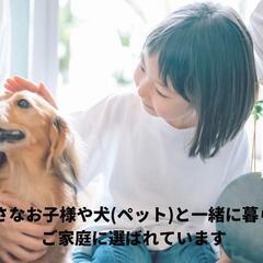 さいたま市発【大掃除はセット注文がお得❗】最大20,900円OFF
