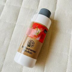 【美品】値下げしました！車載／卓上アロマディフィーザー 付属品付の画像