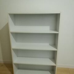 本棚　種類違い2本