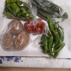 自然農法お野菜マルシェ　9月23日24日山形市 − 山形県