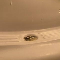 サンヨー　冷蔵庫の画像