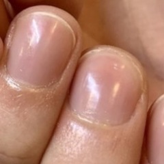9月、10月の予定 − 福岡県