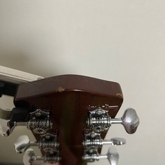 HISTORY NT-L4 NATアコースティックギター あいみょん