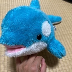 シャチ　ぬいぐるみ　40cm