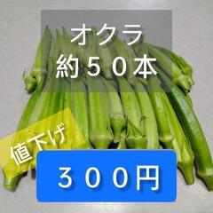 【さらに値下げ】野菜　オクラ（規格外）２
