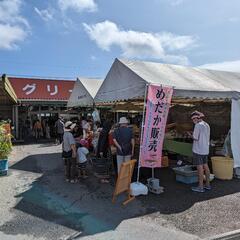 年内最後！？【メダカ掬い（持ち帰り増量）・販売】9月24日 JA...