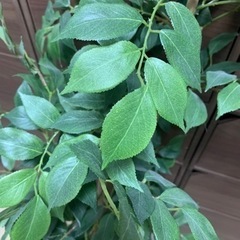 人工観葉植物 大型 観葉植物 フェイク 室内 おしゃれ 風水 造花 フェイクグリーンの画像