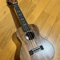 【ほぼ未使用】ウクレレ　コンサート