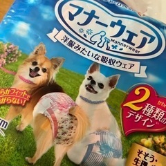犬のオムツ　SSSサイズ