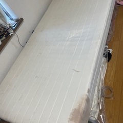 シングルベッド　白