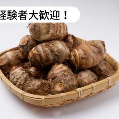 愛媛県松山市津吉で野菜等の加工商品の製造作業補助のお仕事！【単発...