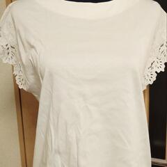 白のカットソー