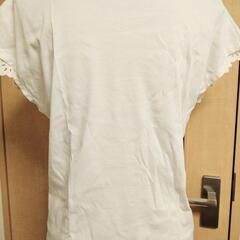 白のカットソーの画像