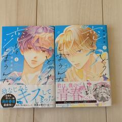 少女漫画　どうせ恋してしまうんだ。