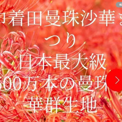 9/30土 日和田山 巾着田曼珠沙華まつり