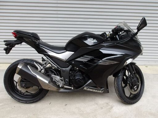 ニンジャ250　車体