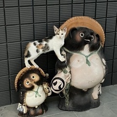 推定生後4ヶ月の子猫3匹