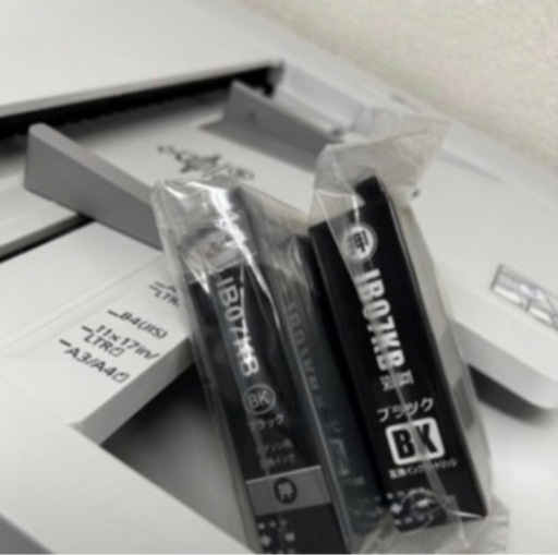 EPSON  ビジネスプリンターA3 黒インク2個付き
