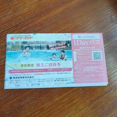 サマーランドフリーパス