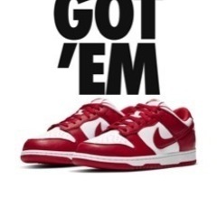 NIKE Dunk low