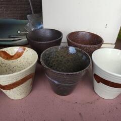 新品 箱入り  湯飲みの画像