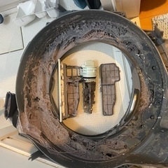 ドラム式洗濯機分解クリーニング専門店/洗濯機修理　便利屋BUZZ - ハウスクリーニング