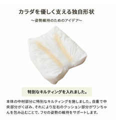 介護用ドッグベッド Lサイズ 【ねどっこ】寝たきり防止・体位変換 オーナーと大切な家族のためにの画像