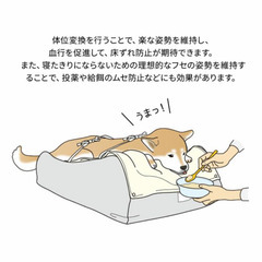 介護用ドッグベッド Lサイズ 【ねどっこ】寝たきり防止・体位変換 オーナーと大切な家族のためにの画像