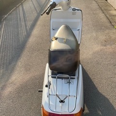 YAMAHA ベルーガ50 の画像