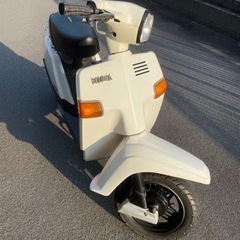 YAMAHA ベルーガ50 の画像