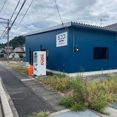 キックボクシングSDDの画像