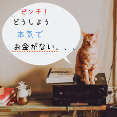 本気でピンチな方だけ見て下さい、、、京都市